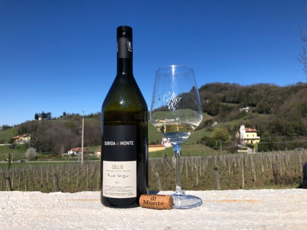 Subida di Monte - Pinot Grigio